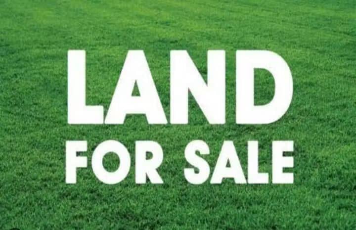 A Two Plots Of Land At Parliament Estate